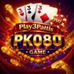 PK080 Game